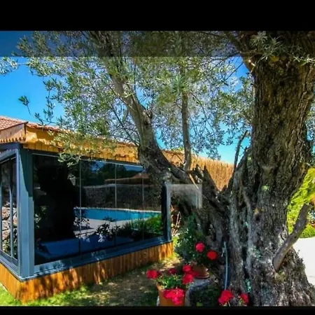 Villa Pitzer 2 Fethiye